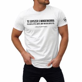   Te egyszer s mindenkorra felelős lettél azért, amit megszelídítettél. - Férfi póló / Fehér