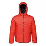 Regatta RETRA420 ACADIA II DZSEKI XS
