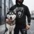 Husky csomagok